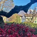 Magnolia - *