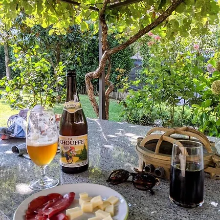 Apartment Magnolia - Lenno